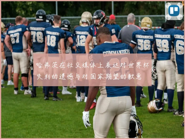 哈弗茨在社交媒体上表达对世界杯失利的遗憾与对国家期望的歉意